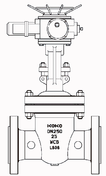 電(diàn)動閘閥結構示意(yì)圖