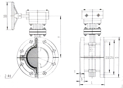 襯氟蝶閥(fa)結構示意圖
