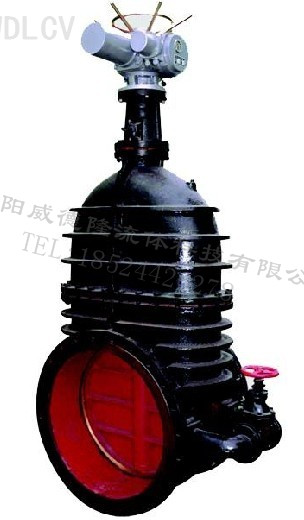 鑄鐵電動暗杆閘(zhá)閥 WDLZ941T-10 